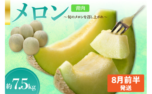 【2025年8月前半発送】【秀～優品】メロン 約7.5kg 程度( 青肉 ) 津軽平野のメロン 【選べる配送時期】 8月 青森
