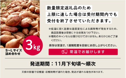 【先行予約】安納いも さつまいも 3kg （S/M/Lミックス）【秀さん農園】種子島 焼きいも 焼き芋 本場 安納芋  さつま芋 甘い ねっとり スイーツ おやつ グルメ お取り寄せ おせち 人気 種子島産 返礼品 南種子町 鹿児島 かごしま 【観光物産館トンミー市場】
