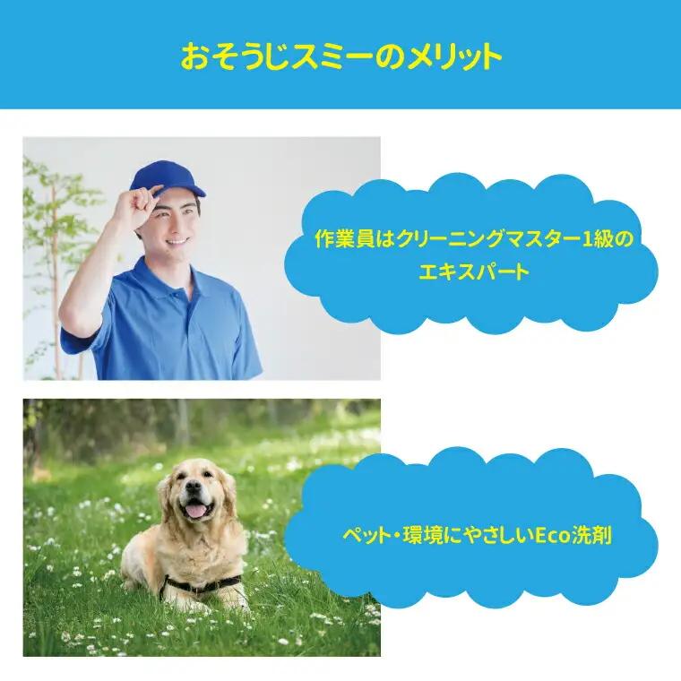 【施工場所：柏市限定】 エアコン分解クリーニング〈 エアコン クリーニング おそうじ チケット 実家 おすすめ 清掃 住まい おうち 大掃除 プレゼント 返礼品 ふるさと納税  〉
