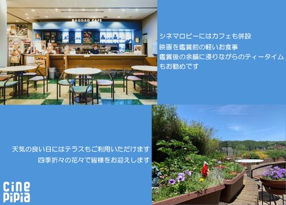 シネ・ピピア映画鑑賞券【3枚】