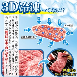 ＜宮崎牛・3D冷凍＞6部位食べ比べ焼肉(合計600g)牛肉  国産 冷凍【R-27】【株式会社ミヤチク】