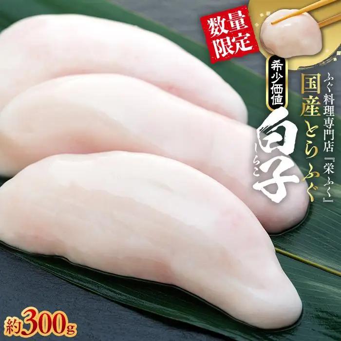 【数量限定】希少価値 白子 約300g ふぐ料理専門店 栄ふく 国産 | 白子
