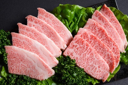 【先行受付 R6年12月中旬より発送】訳あり！艶さし！【A4～A5】佐賀牛焼肉切り落とし(肩ロース・バラ)1kg(500g×2P)【肉 牛肉 ブランド牛 黒毛和牛 ふるさと納税】(H112133)