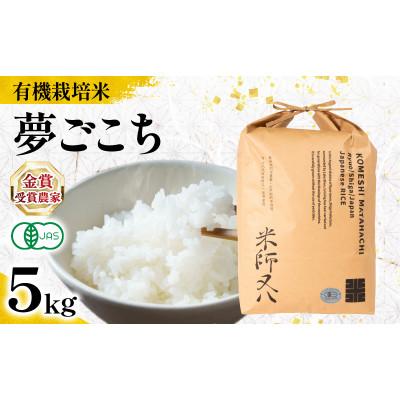 ふるさと納税 竜王町 令和7年産 有機JAS認証米 夢ごこち 5kg WN047