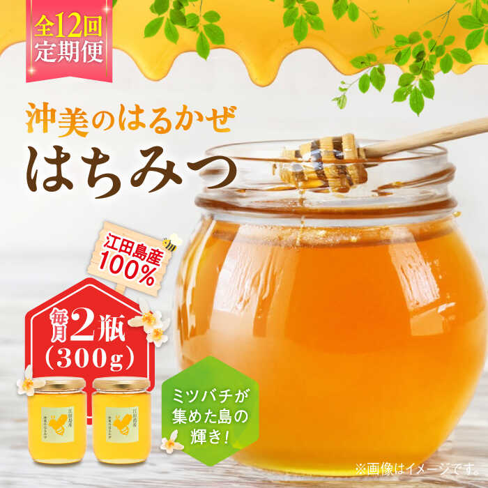 【ふるさと納税】【全12回定期便】江田島産100％ はちみつ 沖美のはるかぜ300g×2本 ハチミツ 蜂蜜 国産 広島 江田島市/はつはな果蜂園[XCD020] ハチミツ 国産蜂蜜 国産はちみつ 純粋はちみつ 人気 備蓄 非常食 保存食 産地直送 定期便