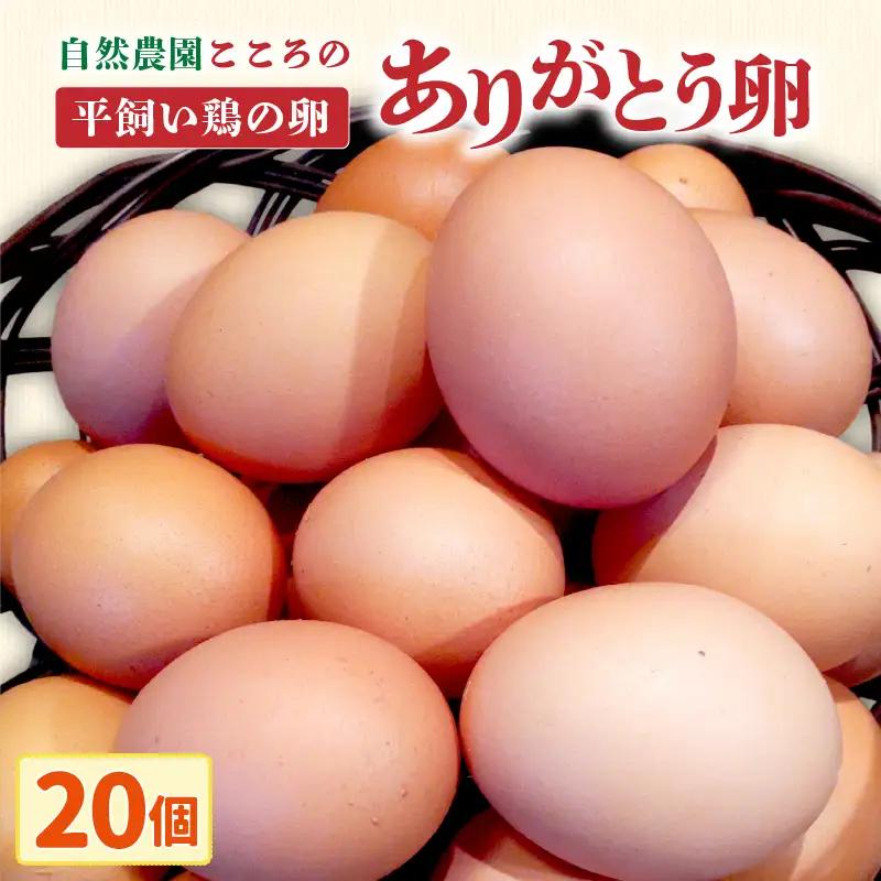自然農園「こころ」の平飼い『ありがとう卵』 20個（10個×2パック）