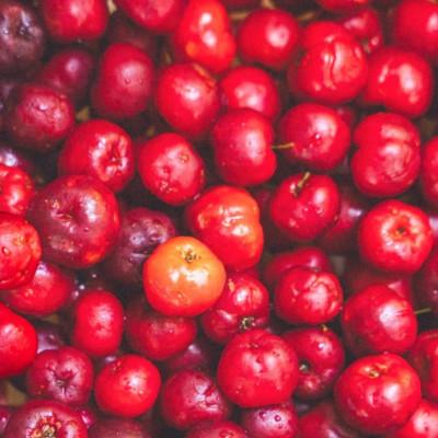 ふるさと納税 本部町 アセローラ果汁100%!アセローラピューレ 100g×6Pセット |  | 03