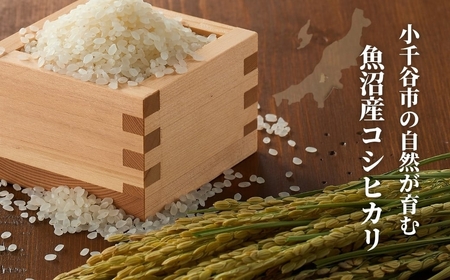 【おぢや米 3kg】魚沼産コシヒカリ 魚沼特A評価地域 クラフト袋