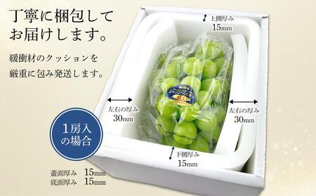 【2025年9月以降発送】岡山県産 シャインマスカット 晴王 1房 約700g  種無し 皮ごと食べる フレッシュ 先行予約　ハレノフルーツ