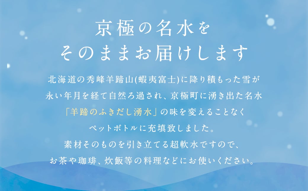 【6回定期便】羊蹄のふきだし湧水 「京極の名水」 500ml×24本 （1ケース）