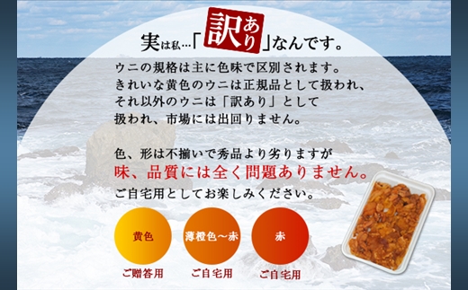 1261.訳あり うに チリ産 冷凍 ほたて ウニ 100g 帆立 300g 雲丹 不揃い うに わけ あり 海鮮 丼 海鮮丼 刺身 うに丼  自宅用 北海道 送料無料 北海道 弟子屈町 