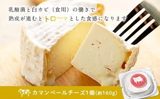 カマンベールチーズ「畑ぬ月」Pari nu Tuki（CJ05）