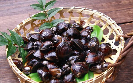 宍道湖産しじみ使用 しじみラーメン貝付 6食セット 島根県松江市/株式会社なかたか[ALBQ003]