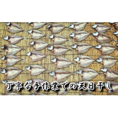 ふるさと納税 錦江町 一代目から続く製法!大満足の旬の干物セット (No.1084-1) |  | 02