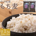 【ふるさと納税】内子町産 もち麦（1kg） | 食品 加工食品 人気 おすすめ 送料無料