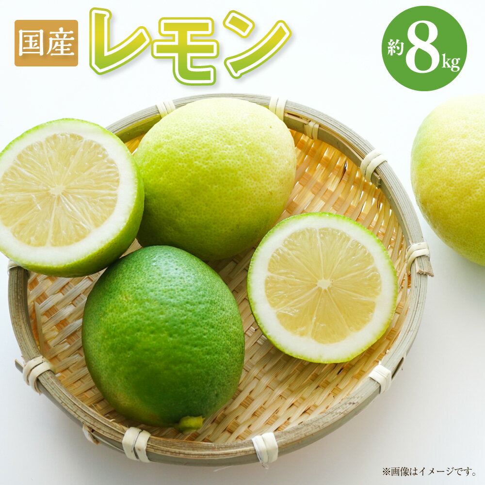 【ふるさと納税】【数量限定】【先行予約】国産レモン 約8kg 檸檬 れもん 果物 果実 くだもの フルーツ 熊本県産 九州 熊本県 熊本市 送料無料 【2026年9月上旬～11月下旬発送予定】