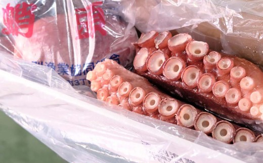 煮タコ足セット 訳あり 約1.0kg