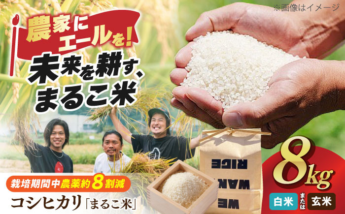 
            【令和6年産】コシヒカリ 滋賀県西浅井町産「まるこ米」2kg×4 【選べる精米方法】滋賀県長浜市/ONE SLASH 株式会社 [AQCZ004] 米 お米 白米 玄米  8kg 
          