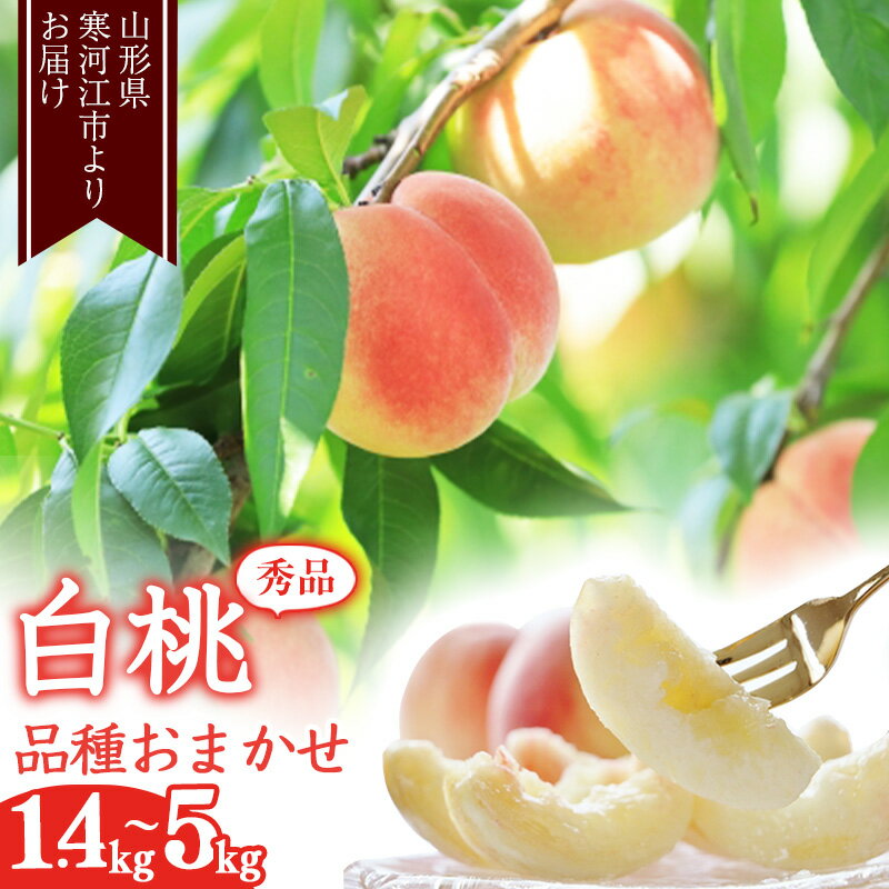 【ふるさと納税】選べる！ 山形の白桃 秀品1.4kg 2kg 3kg 5kg 品種おまかせ 秀品 山形県産【2025年8月上旬頃～9月下旬頃発送予定】／ 果物 フルーツ 果実 産地直送 新鮮 贈答 ギフト プレゼント 特産 2025年産 令和7年産 3キロ 1.4キロ 2キロ 5キロ ふるさと納税 桃