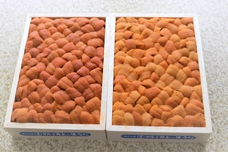 エゾバフンウニバラ詰め(赤系)約250g×1折 C-71028