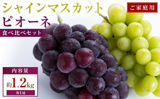 ご家庭用　シャインマスカット+ピオーネ食べ比べセット　約1.2kg(各1房)