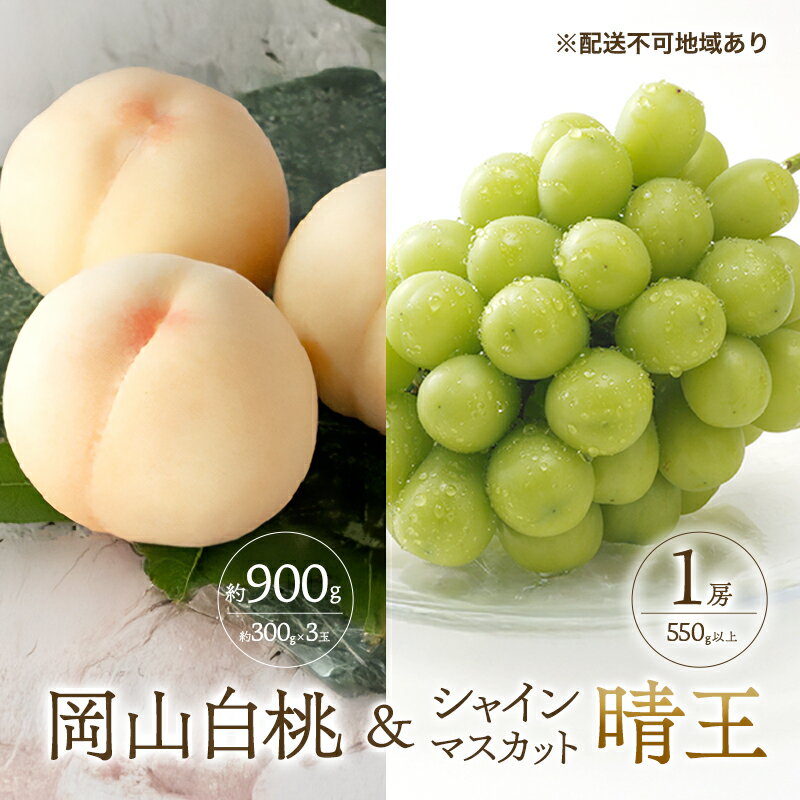 【ふるさと納税】桃 ぶどう 2026年 先行予約 白桃 3玉 合計約900g （1玉約300g） シャインマスカット 晴王 1房 550g以上 もも 葡萄 詰合せ 岡山 国産 フルーツ 果物 ギフト 桃茂実苑　お届け：2026年7月中旬〜2026年8月中旬