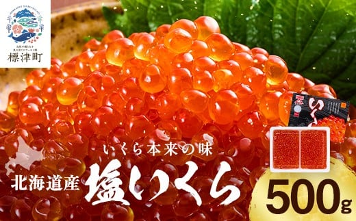 
            北海道産塩いくら 500g×1 塩漬け イクラ 北海道 人気 おすすめ さけ 天然【1135520】
          