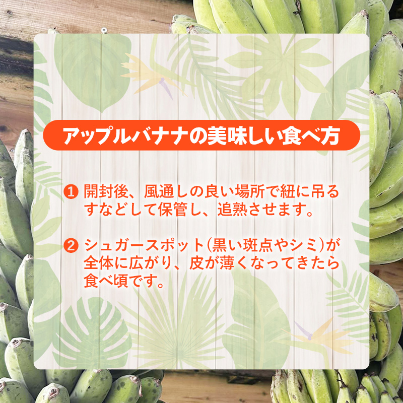国産 希少種！南国フーズのアップルバナナ 約5kg - ばなな 小ぶり 沖縄県産 産地直送 果物 フルーツ 朝食 おすすめ 八重瀬町_イメージ3