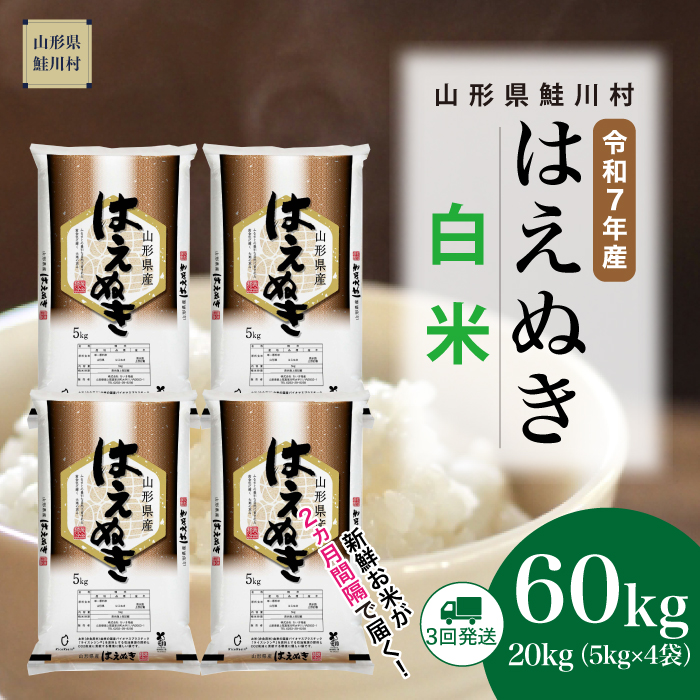 ＜令和7年産米＞ はえぬき 【白米】60kg定期便(20kg×3回)　《配送時期指定可》