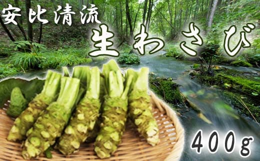 
生わさび 400g 【安比清流山葵園】 ／ 山葵 ワサビ 薬味 新鮮 産地直送
