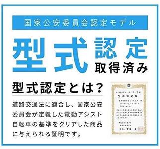 電動自転車 PELTECH（ペルテック）ノーパンク 折り畳み電動アシスト自転車 20インチ 折り畳み外装6段変速（TDN-206LN）【簡易組立必要】【マットネイビー】