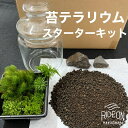 【ふるさと納税】123-15 こけ 専門農家直送!! 苔テラリウム スターターキット / 管理方法の説明書付き 植物 苔 ゴケ インテリア 静岡県 苔g(こけじぃ)