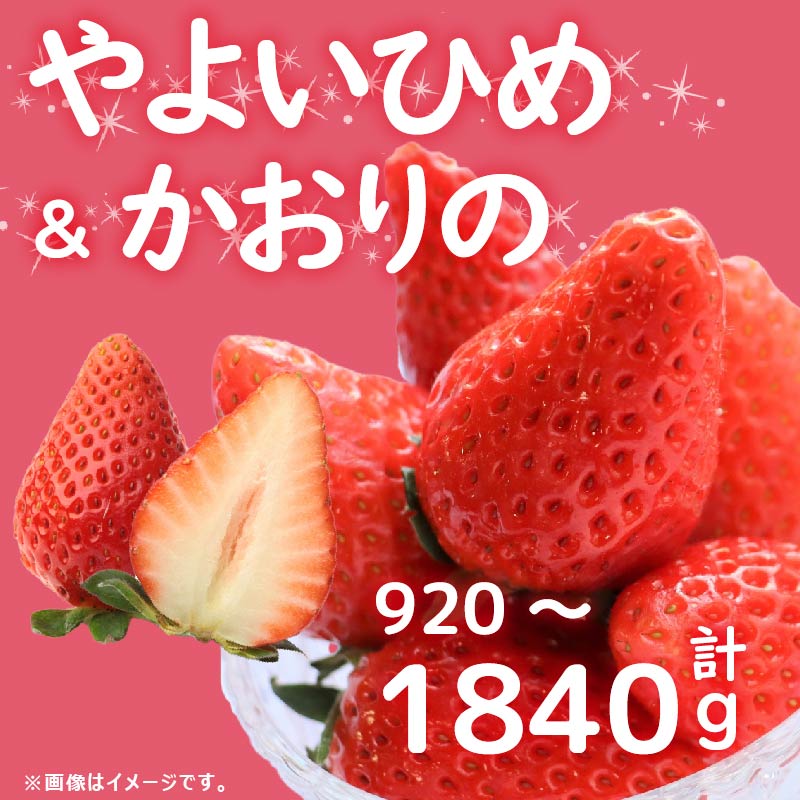 【ふるさと納税】 訳あり いちご やよいひめ かおりの 2種 選べる容量 計920g 1840g 苺 ストロベリー 先行予約 果物 フルーツ ケーキ ゼリー ジュース アイス シャーベット いちご大福 スイーツ デザート ジャム 不揃い 規格外 家庭用 甘い 人気 おすすめ お取り寄せ グルメ