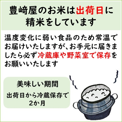 2024年2月発送開始『定期便』お米ソムリエ厳選!茨城県産コシヒカリのお米20kg 全12回