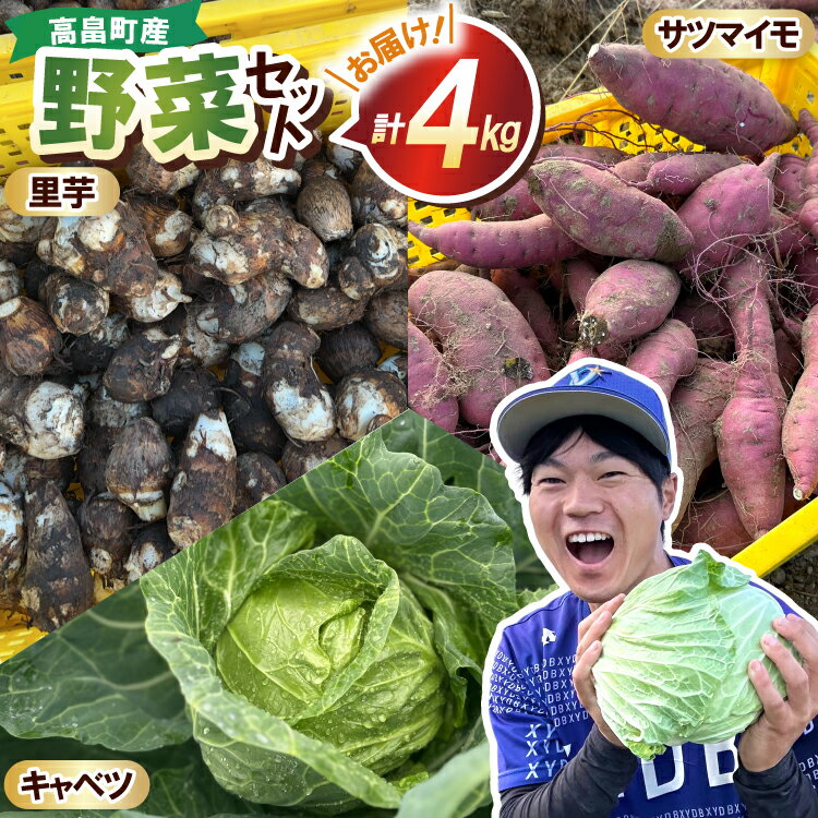 【ふるさと納税】 3種 野菜 ( キャベツ さつまいも 里芋 ) 計約3kg セット [農家の店しゃんくすろーど 山形県 高畠町 tk06bcz250000] やさい 詰め合わせ サツマイモ 芋 さといも 食べ比べ
