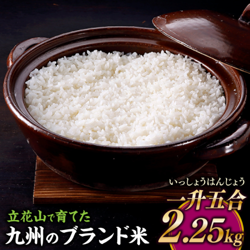 ZH262.【期間限定】立花山で育てた九州のブランド米・2.25キロ【一升五合（いっしょうはんじょう）】