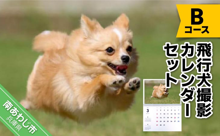 
            Bコース　飛行犬撮影カレンダーセット
          