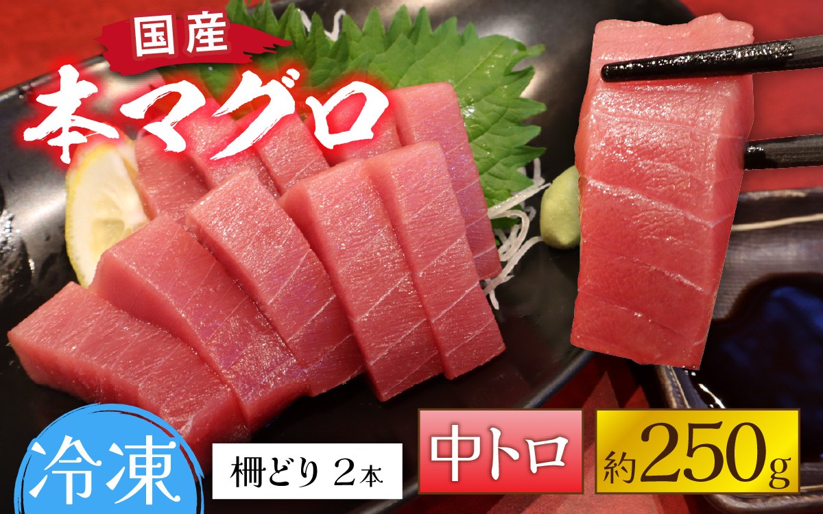 
                  国産 本マグロ 中トロ 約250g 2～3人前 [A-066005] / 国産 まぐろ 鮪 さく 柵どり 冷凍 真空パック ヘルシー 2人前 3人前 新鮮 刺身 丼
                