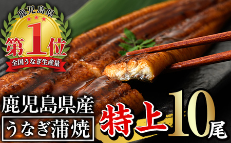 無投薬！鹿児島県産うなぎ蒲焼セット＜特上＞(計1.6g以上・ 160g以上×10尾) タレ・山椒付き 鰻 ウナギ 国産【西日本養鰻】D31-v01