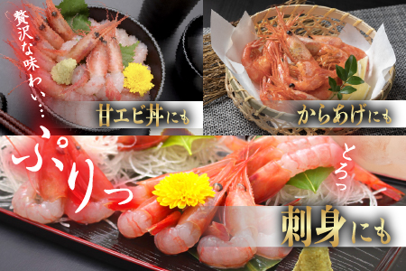 【選べる容量！】【小分け】越前産冷凍甘えび大サイズ 約250g × 2パック 合計約500g 500g（約250g × 2パック）