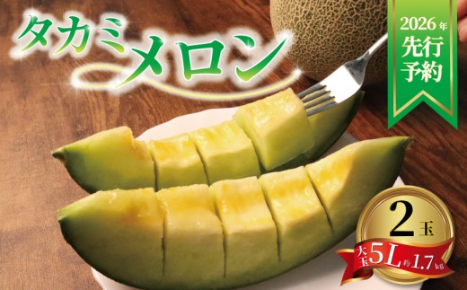 ＜ 2026年 先行予約 ＞ メロン 青肉 5L 約 1.7kg 2玉 フルーツ 果物 くだもの  糖度 デザート 国産 夏 人気 おすすめ ダブル プレゼント 贈答 贈り物 ギフト スイーツ 産地直