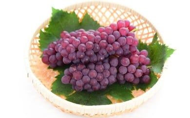 08-08-006　ぶどう(デラウェア)2kg