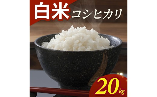 令和7年産【白米】コシヒカリ　20kg(5kg×4袋) YA SF0351