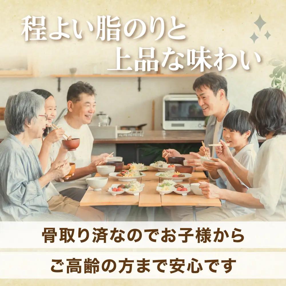 銀鮭 フレーク 100g×21入 | ss00024-100g21p