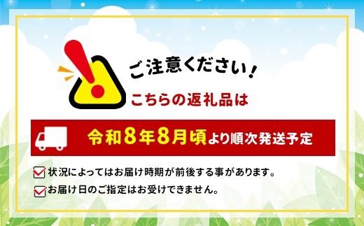 自然の恵み、一滴に凝縮。プレミアムなトマトジュースの贅沢。