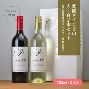 自園自醸ワイン紫波 甘口ワイン紅白2本セット【1688292】