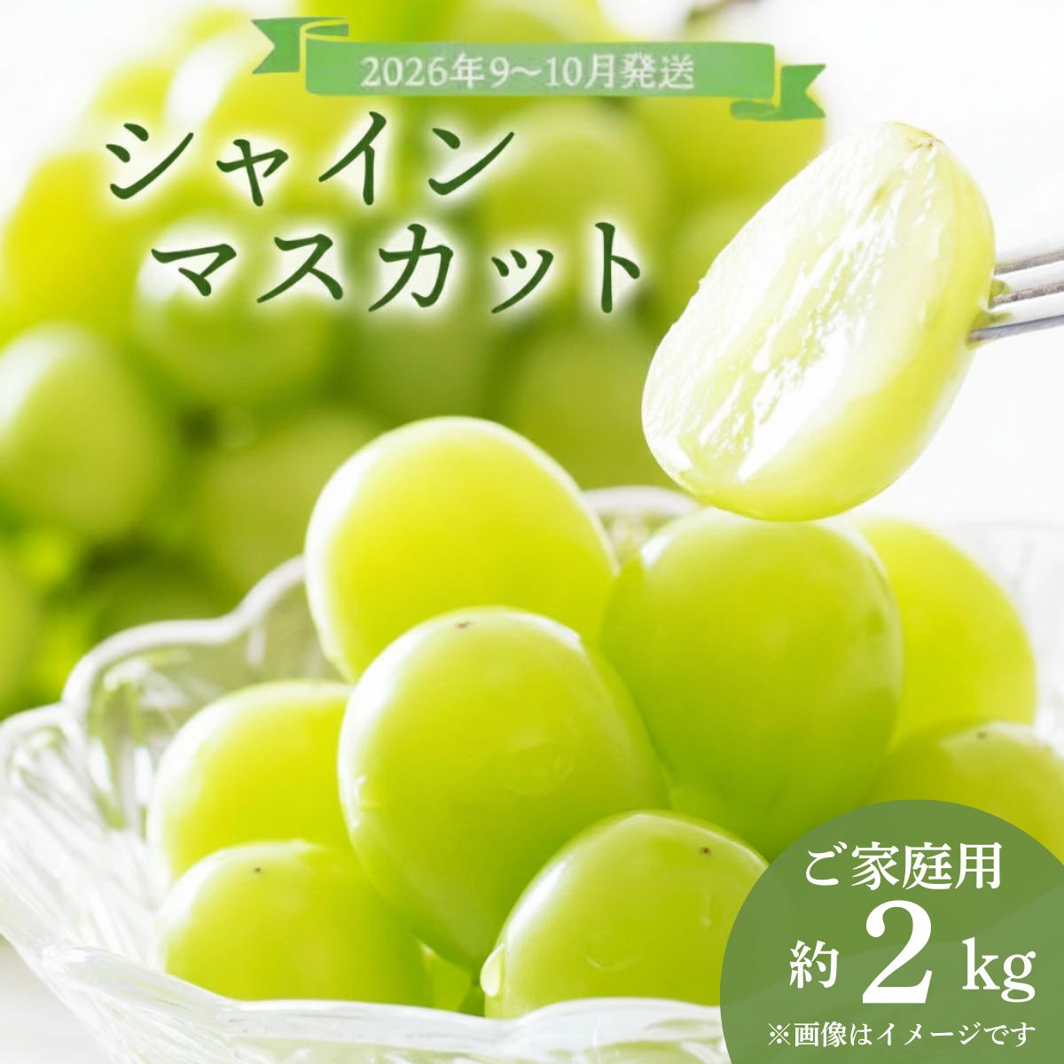 【ふるさと納税】＜2026年発送分 先行予約＞9～10月発送ご家庭用シャインマスカット2Kg箱【029-a013】