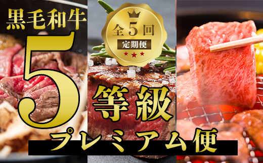 
            【全５回定期便】数量限定！鹿児島県産黒毛和牛5等級プレミアム定期便(水迫畜産/Z-077) 5等級 定期便 5回 黒毛和牛 牛 牛肉 国産 鹿児島県産 肉 自社牧場 ヒレ ヒレステーキ サーロイン サーロインステーキ 肩 カタロース 肩ロース すきやき 焼き肉 やきにく 鍋 モモ モモ肉 ステーキ すき焼き 焼肉 しゃぶしゃぶ 鹿児島 指宿
          