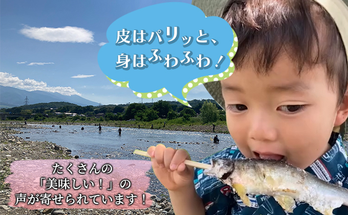  2025年9月発送 生産者直送！「信州あゆ 子持ち 」冷凍8尾入 長野 上田市