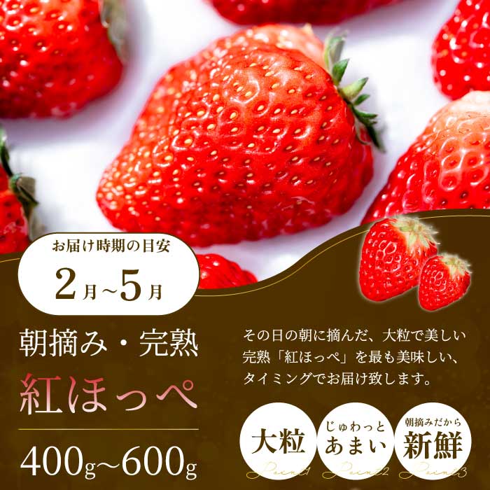 【年4回定期便】瀬戸内の恵みがいっぱい！人気の厳選フルーツ定期便 いちご  桃 ぶどう みかん 広島県三原市 イチゴ もも ブドウ 柑橘 T06